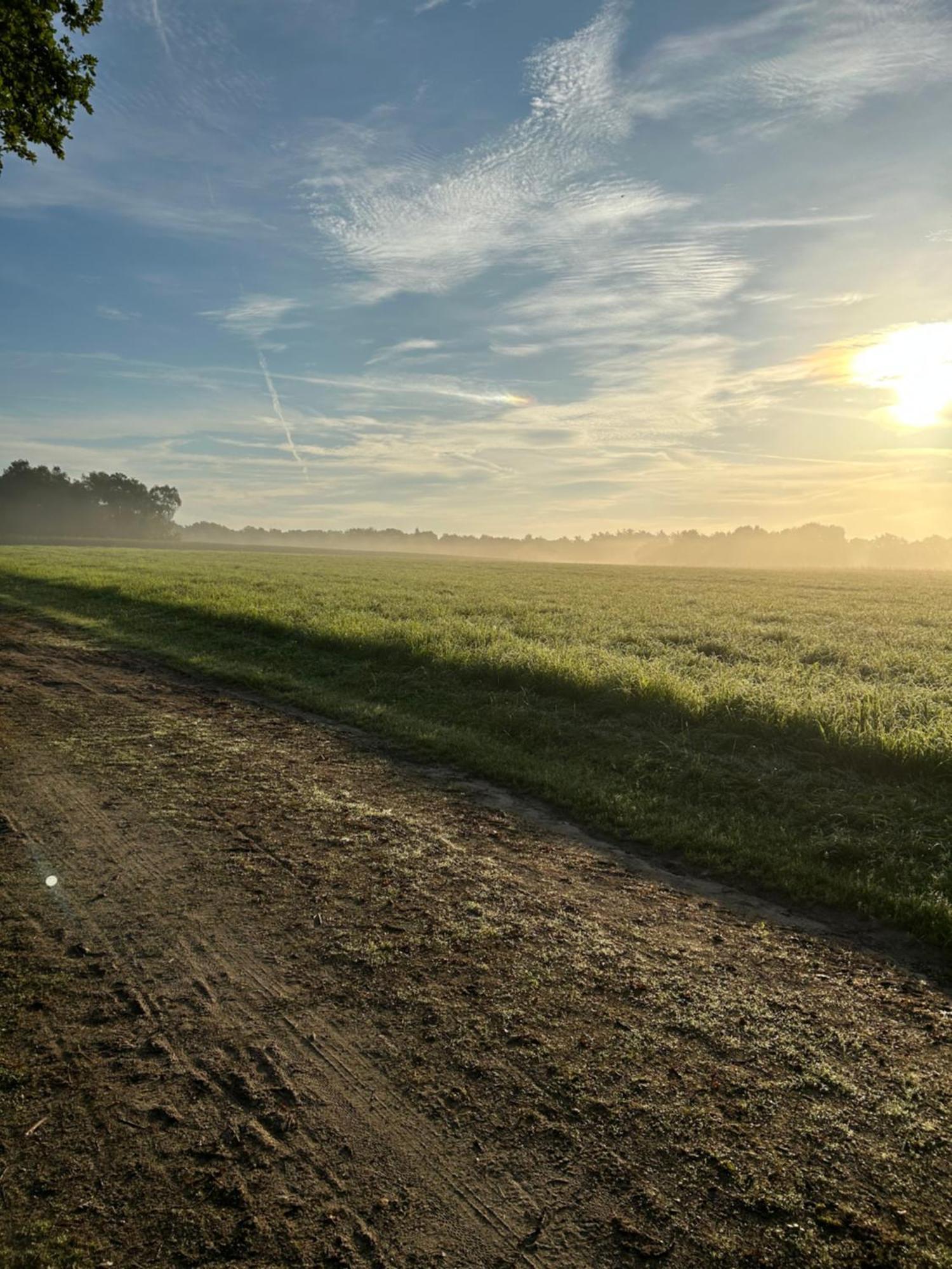 De Postelhoek B&B Oud-Ootmarsum Exteriér fotografie
